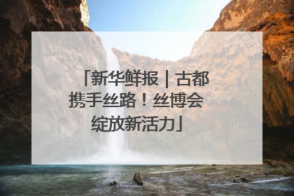 新华鲜报｜古都携手丝路！丝博会绽放新活力