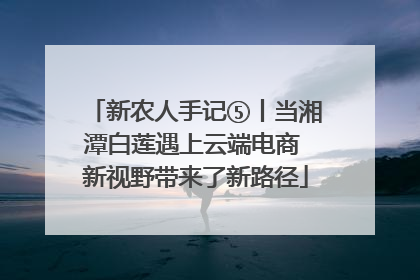 新农人手记⑤丨当湘潭白莲遇上云端电商 新视野带来了新路径