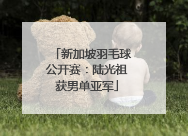 新加坡羽毛球公开赛：陆光祖获男单亚军