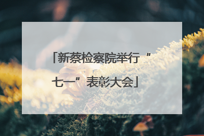 新蔡检察院举行“七一”表彰大会