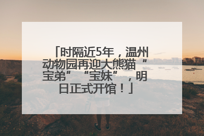 时隔近5年，温州动物园再迎大熊猫“宝弟”“宝妹”，明日正式开馆！