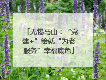 无锡马山：“党建+”绘就“为老服务”幸福底色