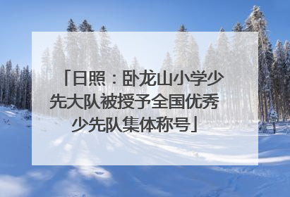日照：卧龙山小学少先大队被授予全国优秀少先队集体称号