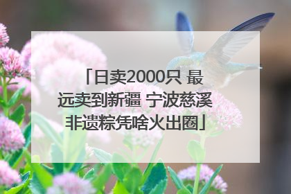 日卖2000只 最远卖到新疆 宁波慈溪非遗粽凭啥火出圈