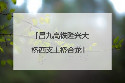 昌九高铁隆兴大桥西支主桥合龙