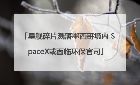 星舰碎片溅落墨西哥境内 SpaceX或面临环保官司