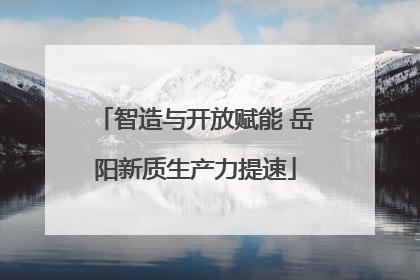 智造与开放赋能 岳阳新质生产力提速