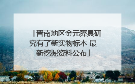 晋南地区金元葬具研究有了新实物标本 最新挖掘资料公布