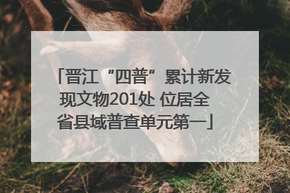 晋江“四普”累计新发现文物201处 位居全省县域普查单元第一