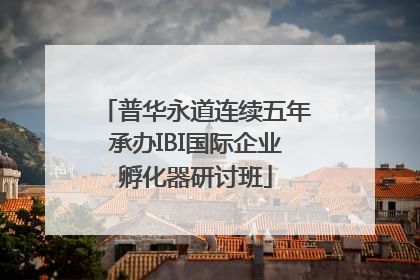 普华永道连续五年承办IBI国际企业孵化器研讨班