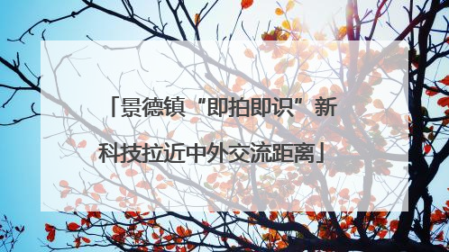 景德镇“即拍即识”新科技拉近中外交流距离