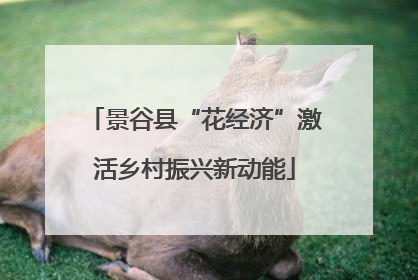 景谷县“花经济”激活乡村振兴新动能
