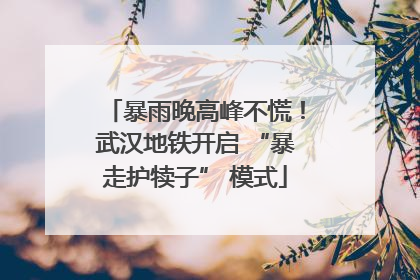 暴雨晚高峰不慌！武汉地铁开启 “暴走护犊子” 模式