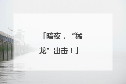 暗夜，“猛龙”出击！