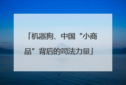 机器狗、中国“小商品”背后的司法力量