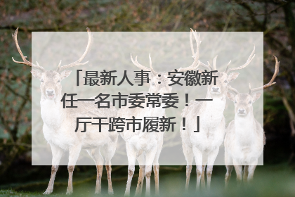 最新人事：安徽新任一名市委常委！一厅干跨市履新！
