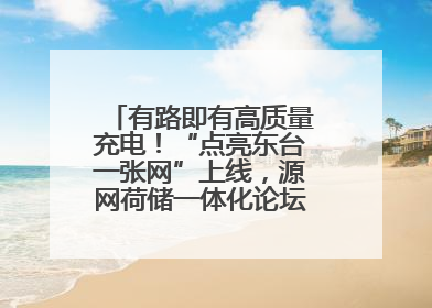 有路即有高质量充电！“点亮东台一张网”上线，源网荷储一体化论坛聚焦低碳转型