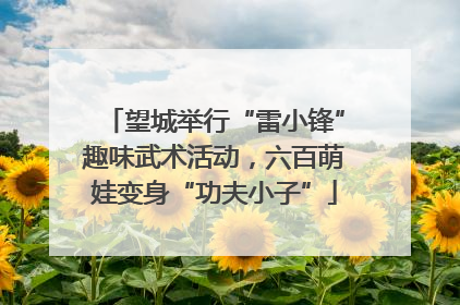望城举行“雷小锋”趣味武术活动，六百萌娃变身“功夫小子”