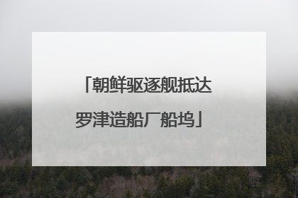 朝鲜驱逐舰抵达罗津造船厂船坞