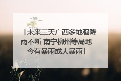 未来三天广西多地强降雨不断 南宁柳州等局地今有暴雨或大暴雨