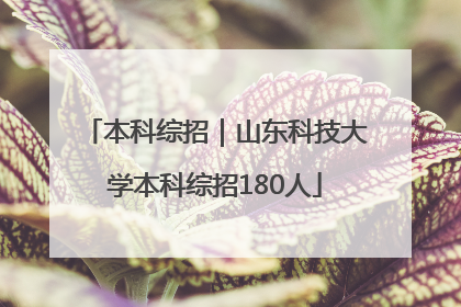 本科综招｜山东科技大学本科综招180人
