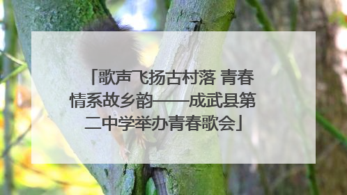 歌声飞扬古村落 青春情系故乡韵——成武县第二中学举办青春歌会