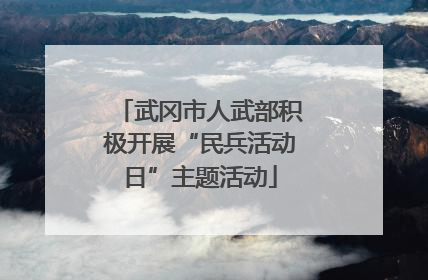 武冈市人武部积极开展“民兵活动日”主题活动
