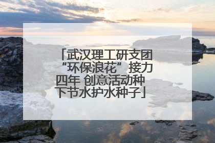 武汉理工研支团“环保浪花”接力四年 创意活动种下节水护水种子