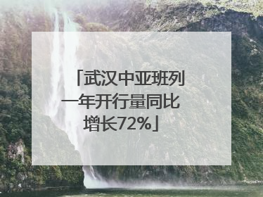 武汉中亚班列一年开行量同比增长72%