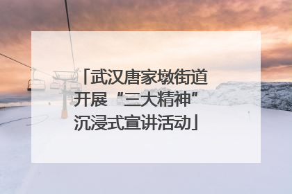武汉唐家墩街道开展“三大精神”沉浸式宣讲活动