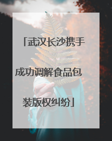 武汉长沙携手成功调解食品包装版权纠纷