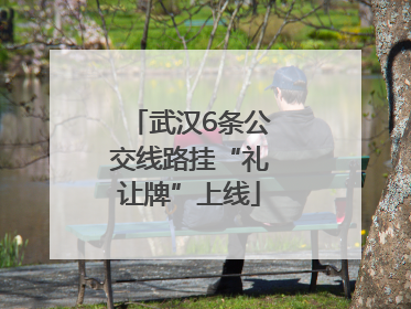 武汉6条公交线路挂“礼让牌”上线