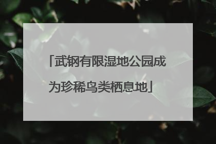 武钢有限湿地公园成为珍稀鸟类栖息地