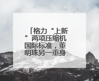 格力“上新”两项压缩机国际标准，董明珠另一重身份很关键