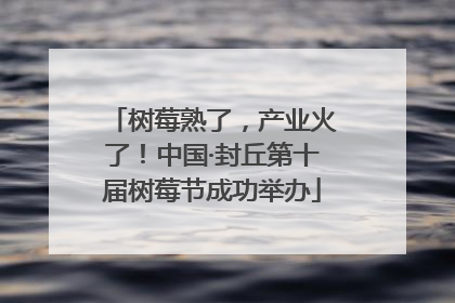 树莓熟了，产业火了！中国·封丘第十届树莓节成功举办