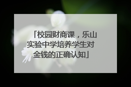 校园财商课，乐山实验中学培养学生对金钱的正确认知