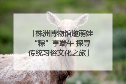 株洲博物馆邀萌娃“粽”享端午 探寻传统习俗文化之旅