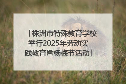株洲市特殊教育学校举行2025年劳动实践教育暨杨梅节活动