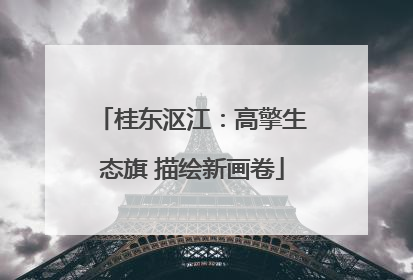 桂东沤江：高擎生态旗 描绘新画卷