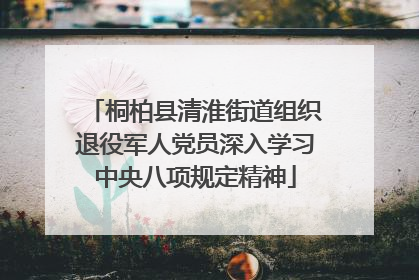 桐柏县清淮街道组织退役军人党员深入学习中央八项规定精神