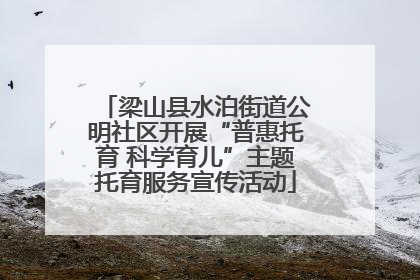 梁山县水泊街道公明社区开展“普惠托育 科学育儿”主题托育服务宣传活动