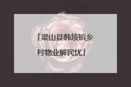 梁山县韩垓镇乡村物业解民忧