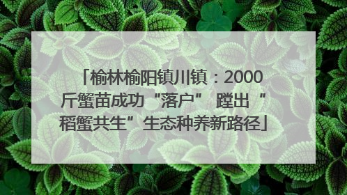 榆林榆阳镇川镇：2000斤蟹苗成功“落户” 蹚出“稻蟹共生”生态种养新路径