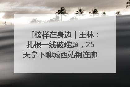 榜样在身边｜王林：扎根一线破难题，25天拿下聊城西站钢连廊“硬核”工程