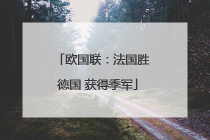 欧国联：法国胜德国 获得季军