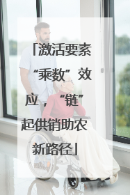 激活要素“乘数”效应，“链”起供销助农新路径