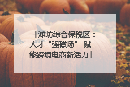潍坊综合保税区：人才“强磁场” 赋能跨境电商新活力