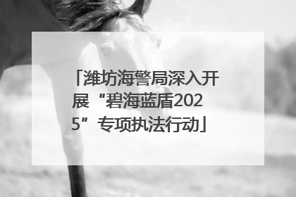潍坊海警局深入开展“碧海蓝盾2025”专项执法行动