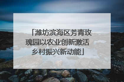 潍坊滨海区芳青玫瑰园以农业创新激活乡村振兴新动能