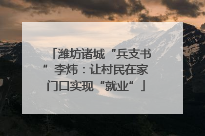 潍坊诸城“兵支书”李炜：让村民在家门口实现“就业”